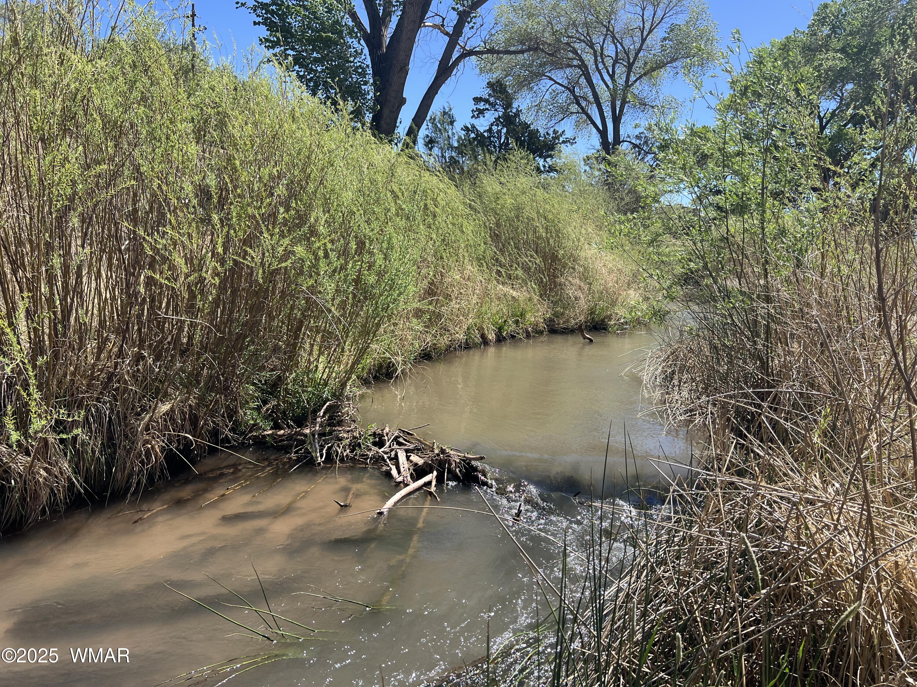 7641 Blackies Road, Taylor, AZ 85939