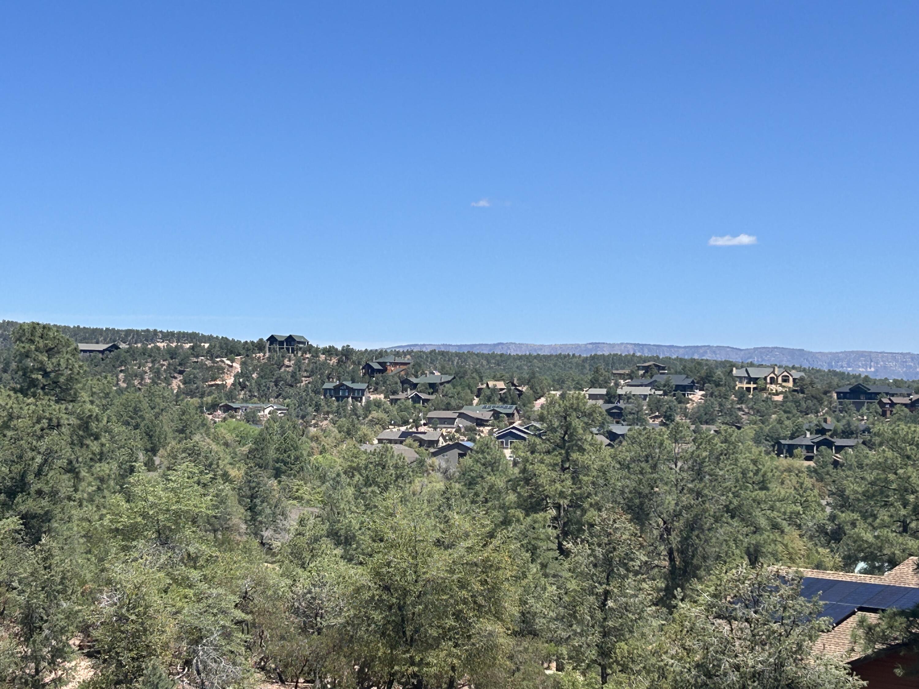 517 N Grapevine Drive, Payson, AZ 85541