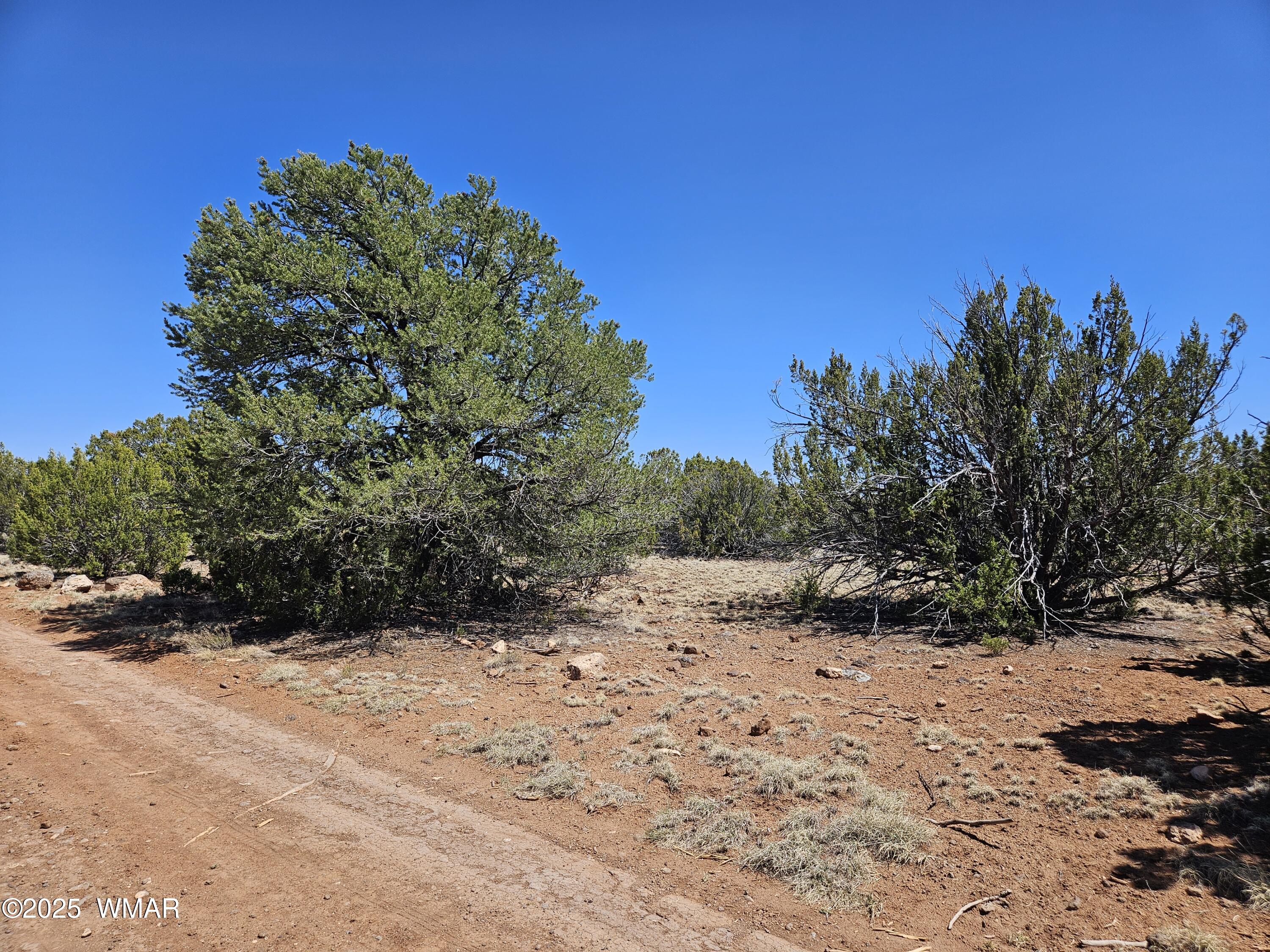 TBD N8060, Concho, AZ 85924