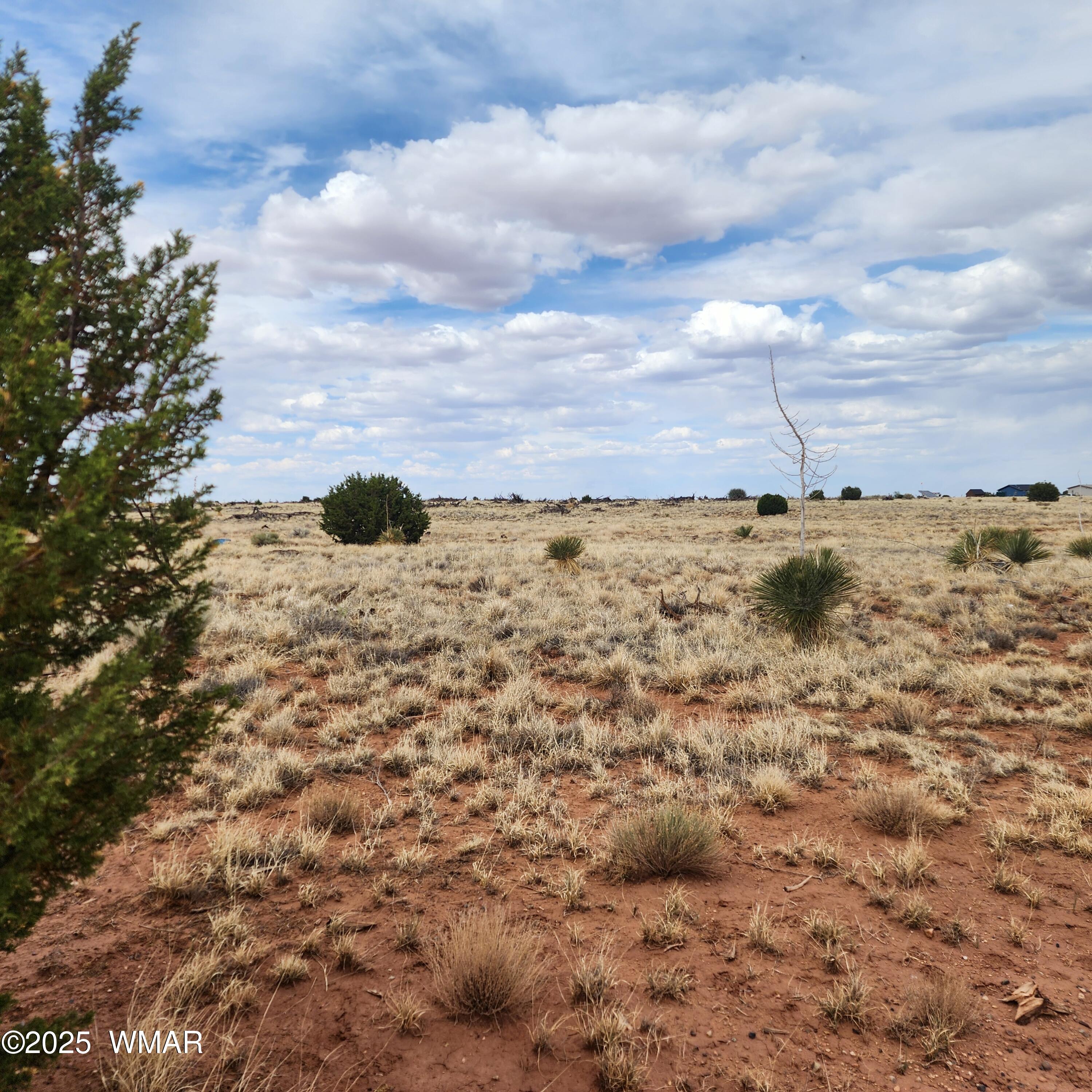 5506 Glasgow Drive, Snowflake, AZ 85937