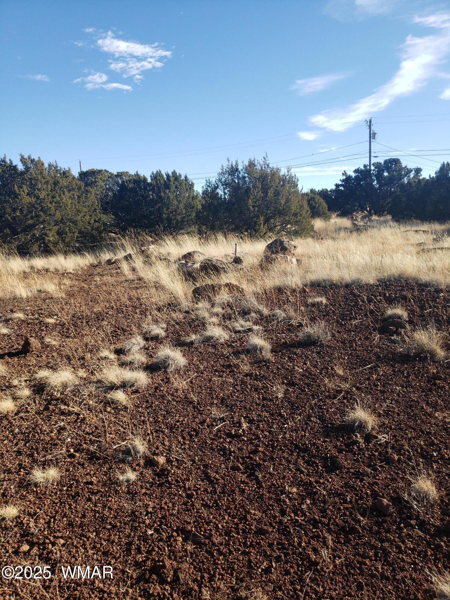 1786 Doughty Place, Show Low, AZ 85901