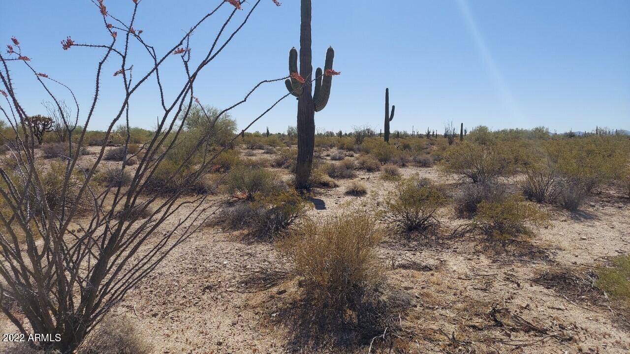 TBD N WILDWOOD Road '-', Florence, AZ 85132
