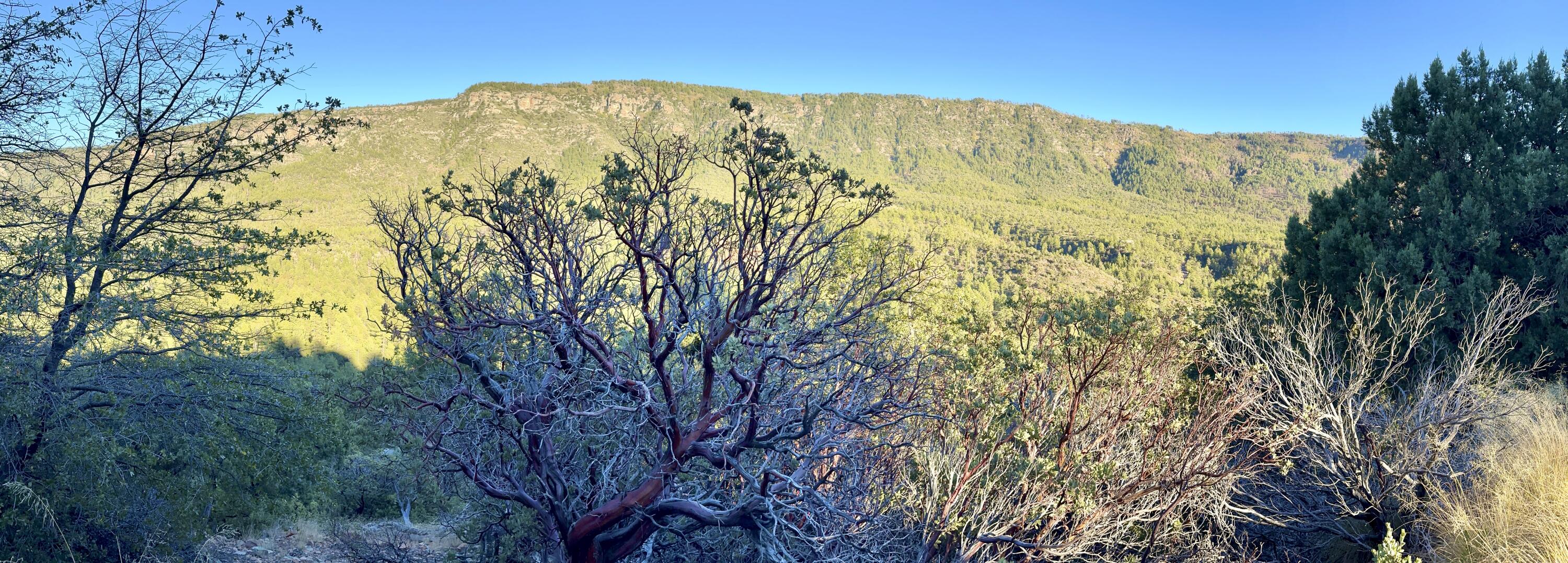 132 N Knob Hill, Pine, AZ 85544 — Photo 1 of 12