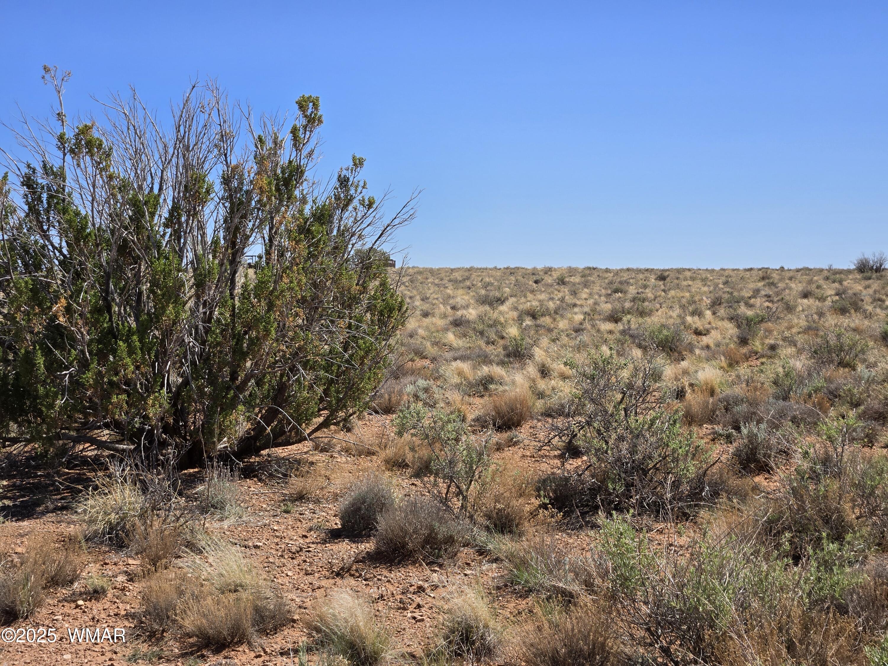 7761 & 7809 Miller Trail, Snowflake, AZ 85937