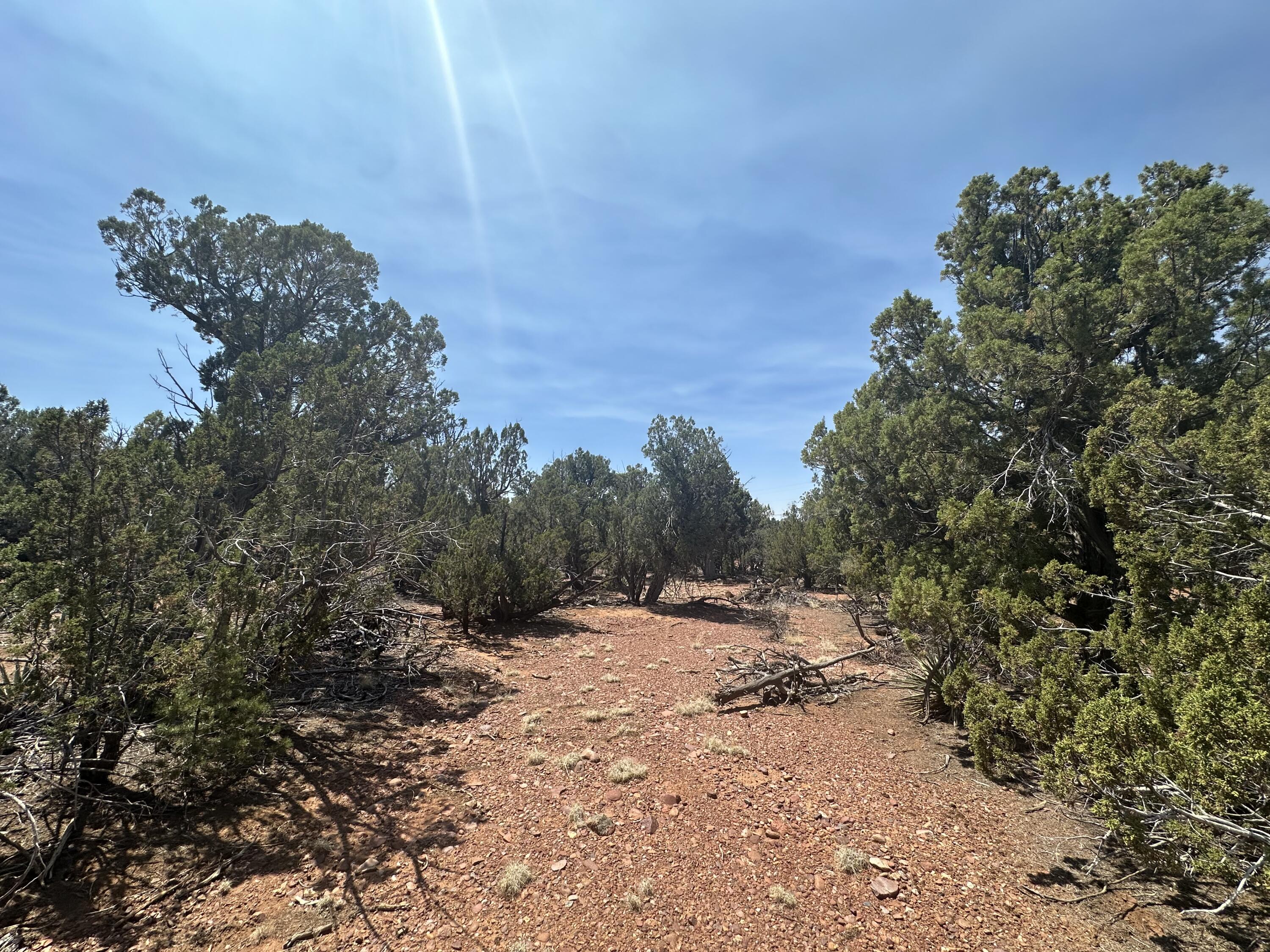 Lot #2 Power Line Road, Heber, AZ 85928