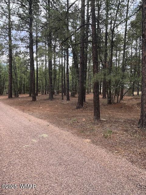 5480 Apache Trail, Pinetop, AZ 85935