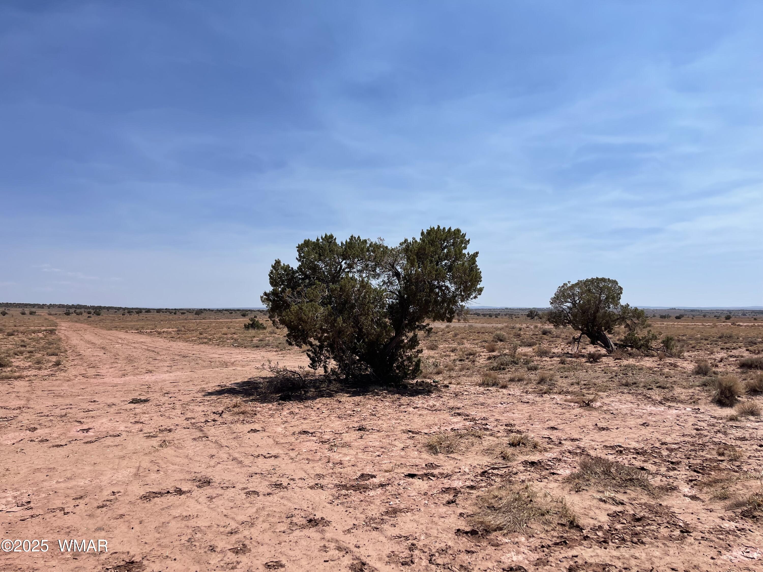 8191 E Concho Highway Parcel B Parcel B, Snowflake, AZ 85937