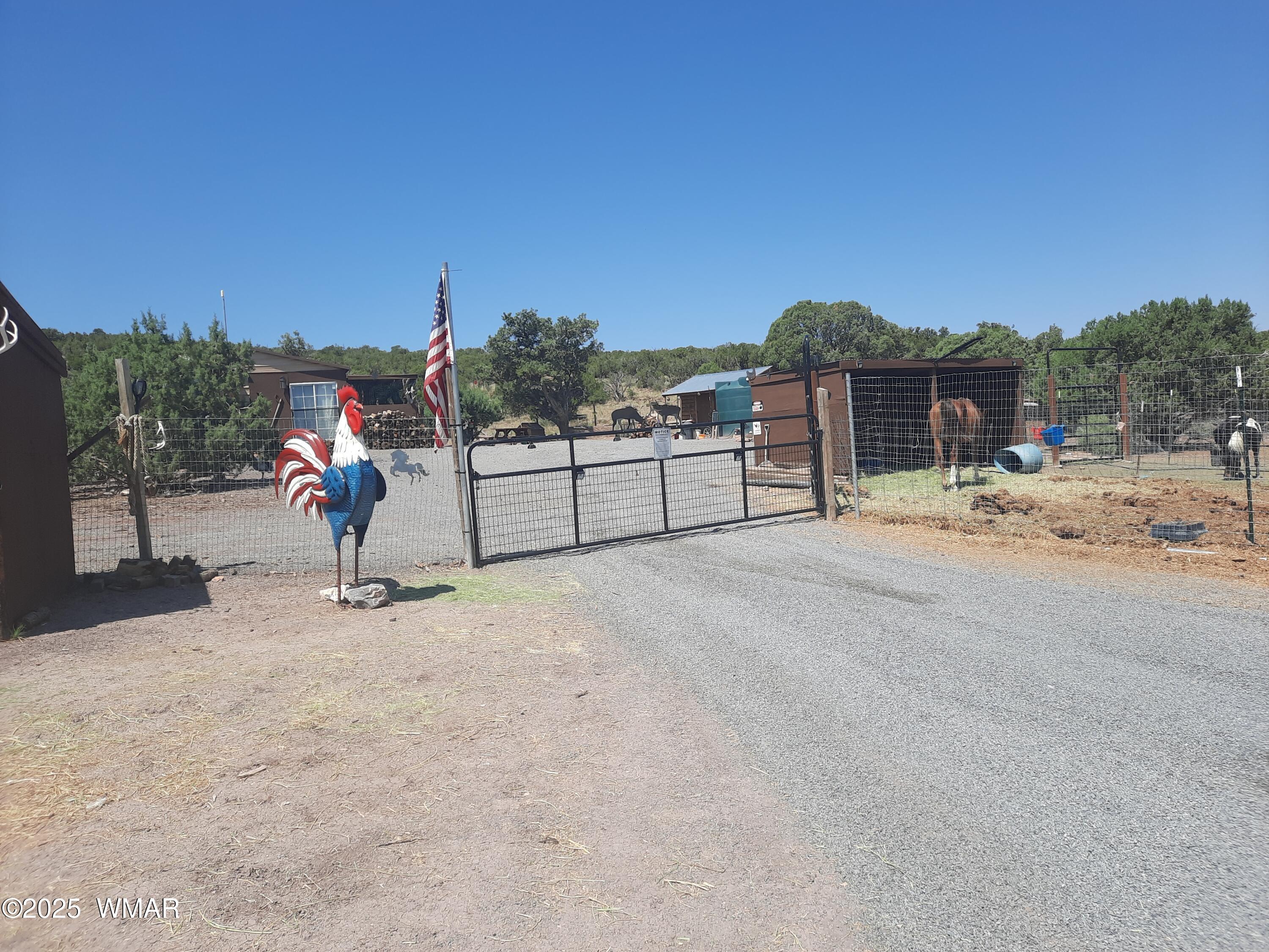 9952 S Buffalo Ridge Drive, Show Low, AZ 85901