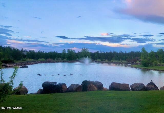 9576 Sierra Springs Drive, Pinetop, AZ 85935