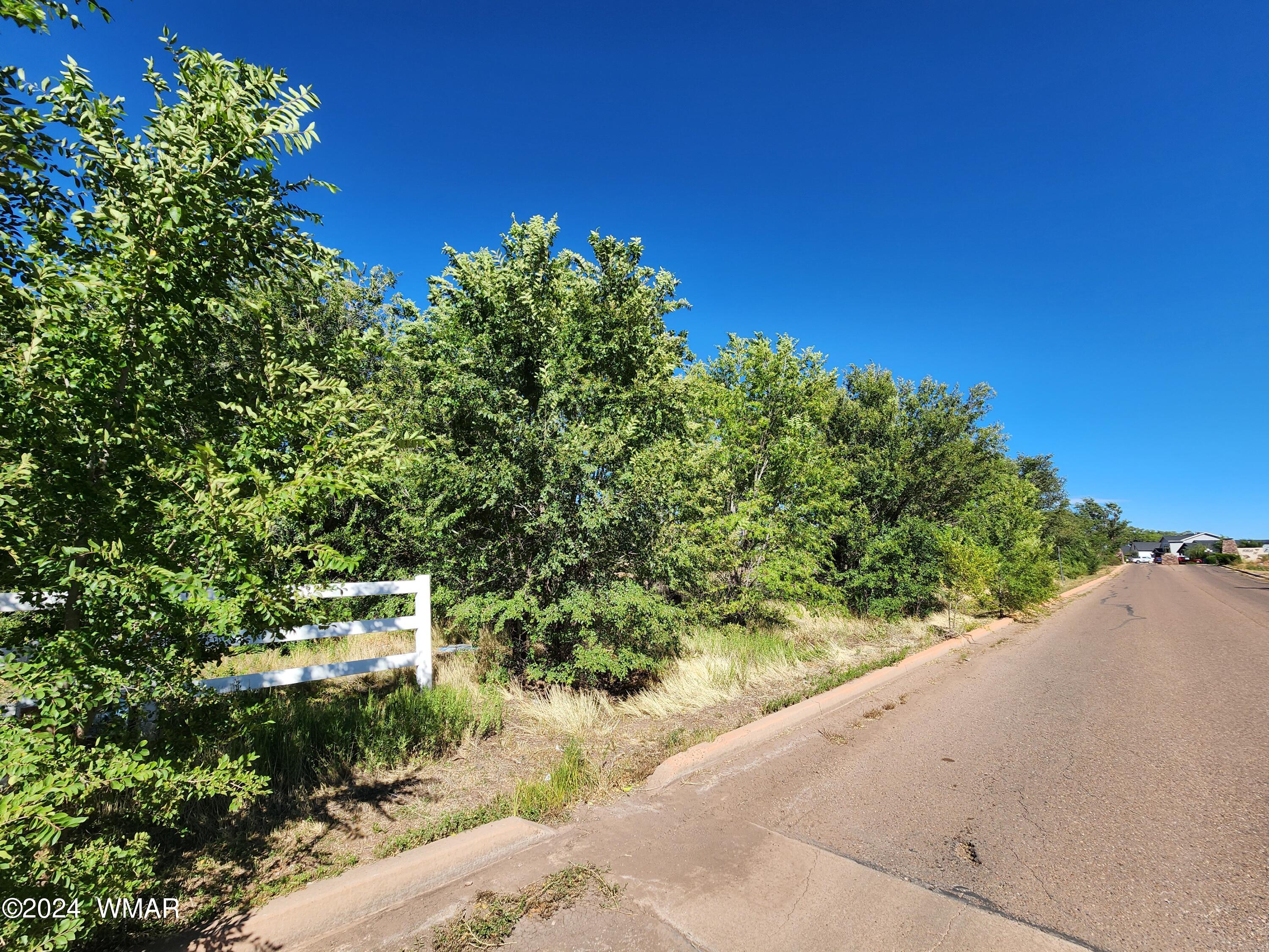 TBD 19th Street, Snowflake, AZ 85937