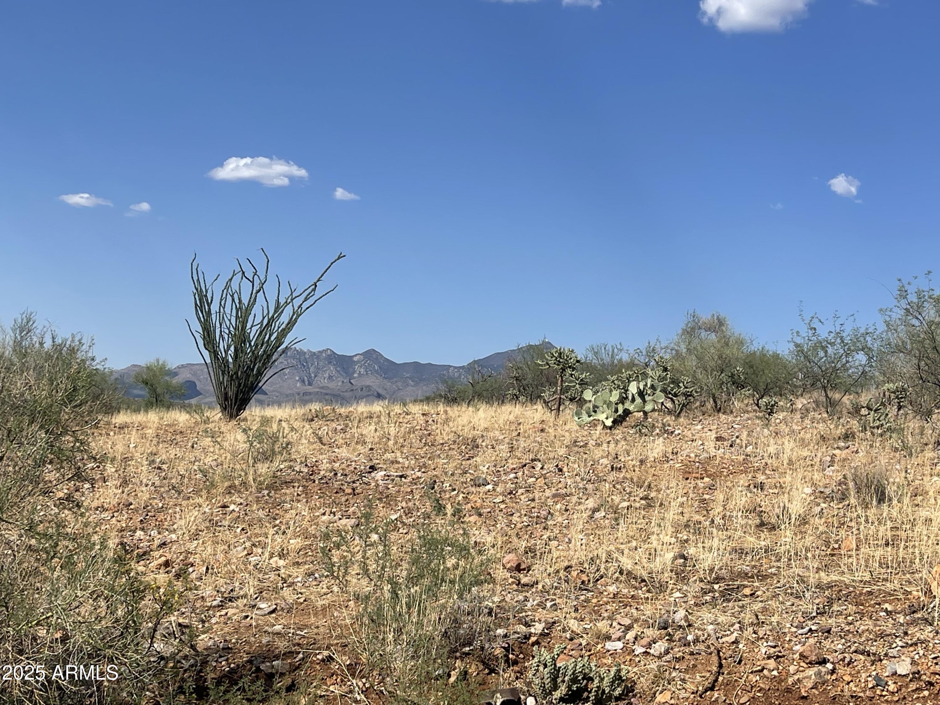 52 CALLE DINAMARCA 21, Rio Rico, AZ 85648