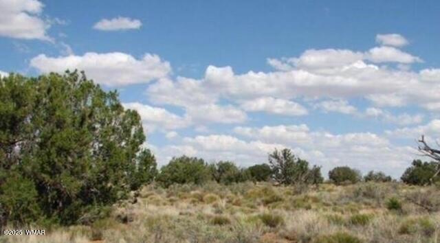 TBD Chevelon Canyon Ranch lot 363, Heber, AZ 85928
