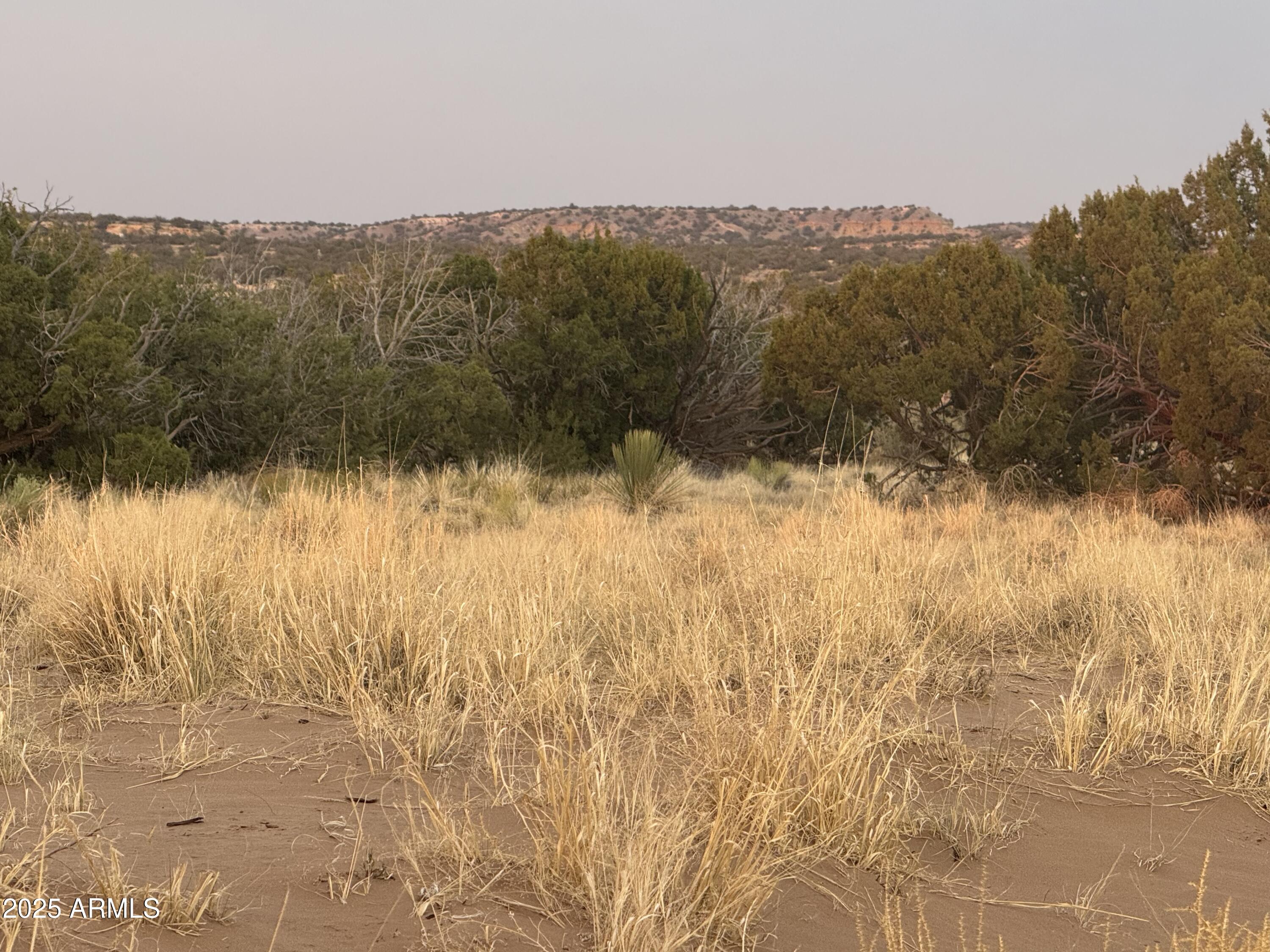 Lot 1041 Woodland Valley Ranch 1041, St Johns, AZ 85936