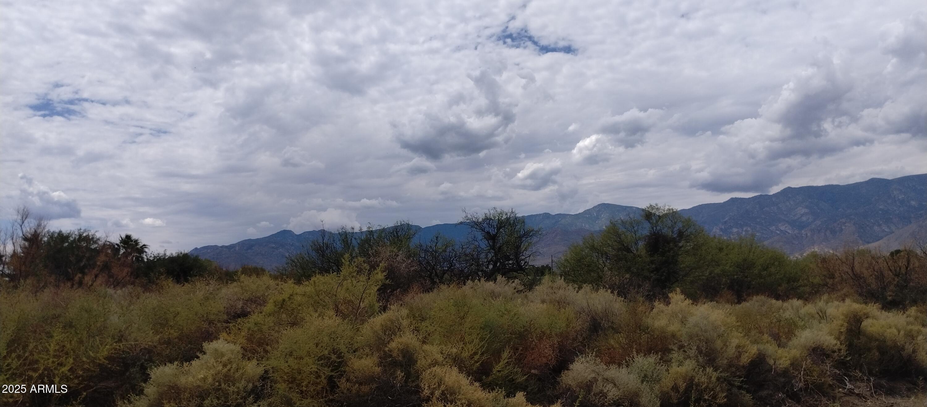0000 W DOGGIE Drive 163, Swift Trail Junction, AZ 85546 — Photo 1 of 5