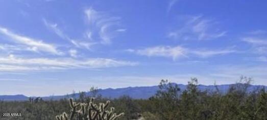 17XXX S Douglass Drive 64, Yucca, AZ 86438 — Photo 1 of 4