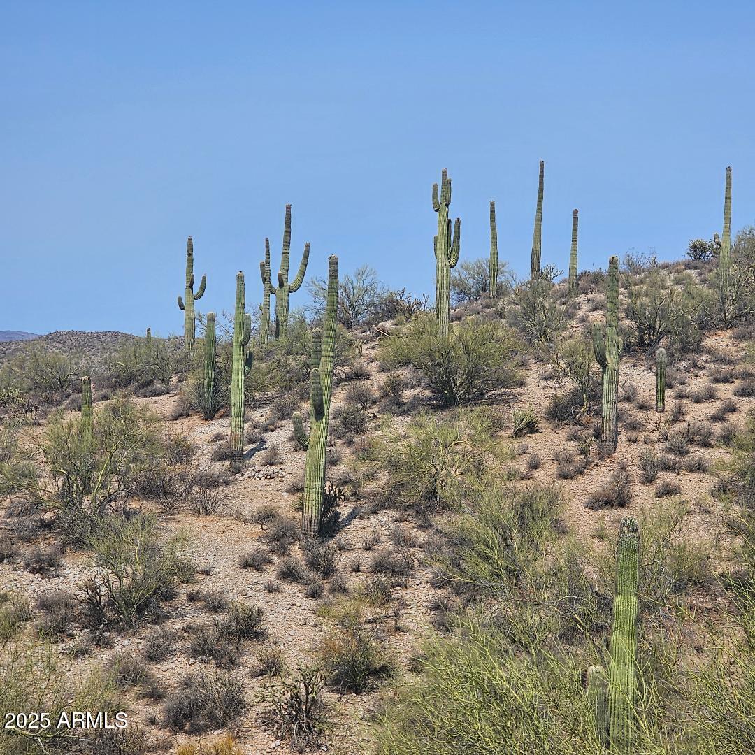 5xxxx N 292nd Avenue 0, Wickenburg, AZ 85390