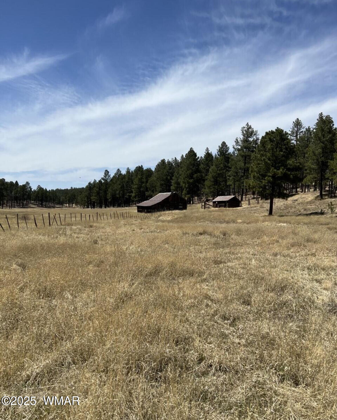 Lot B Forest Road 26, Alpine, AZ 85920