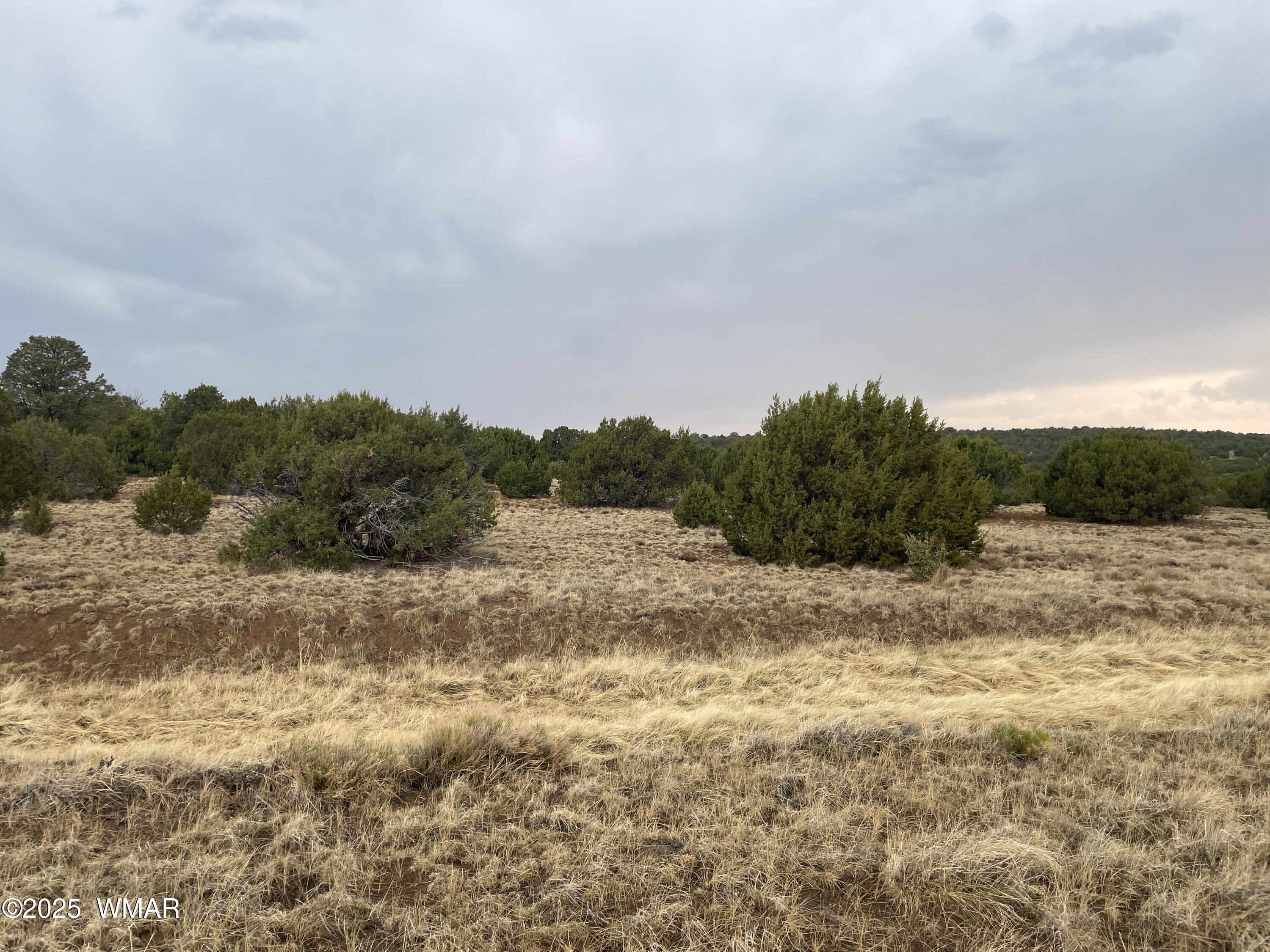1 County Road 3047, Concho, AZ 85924