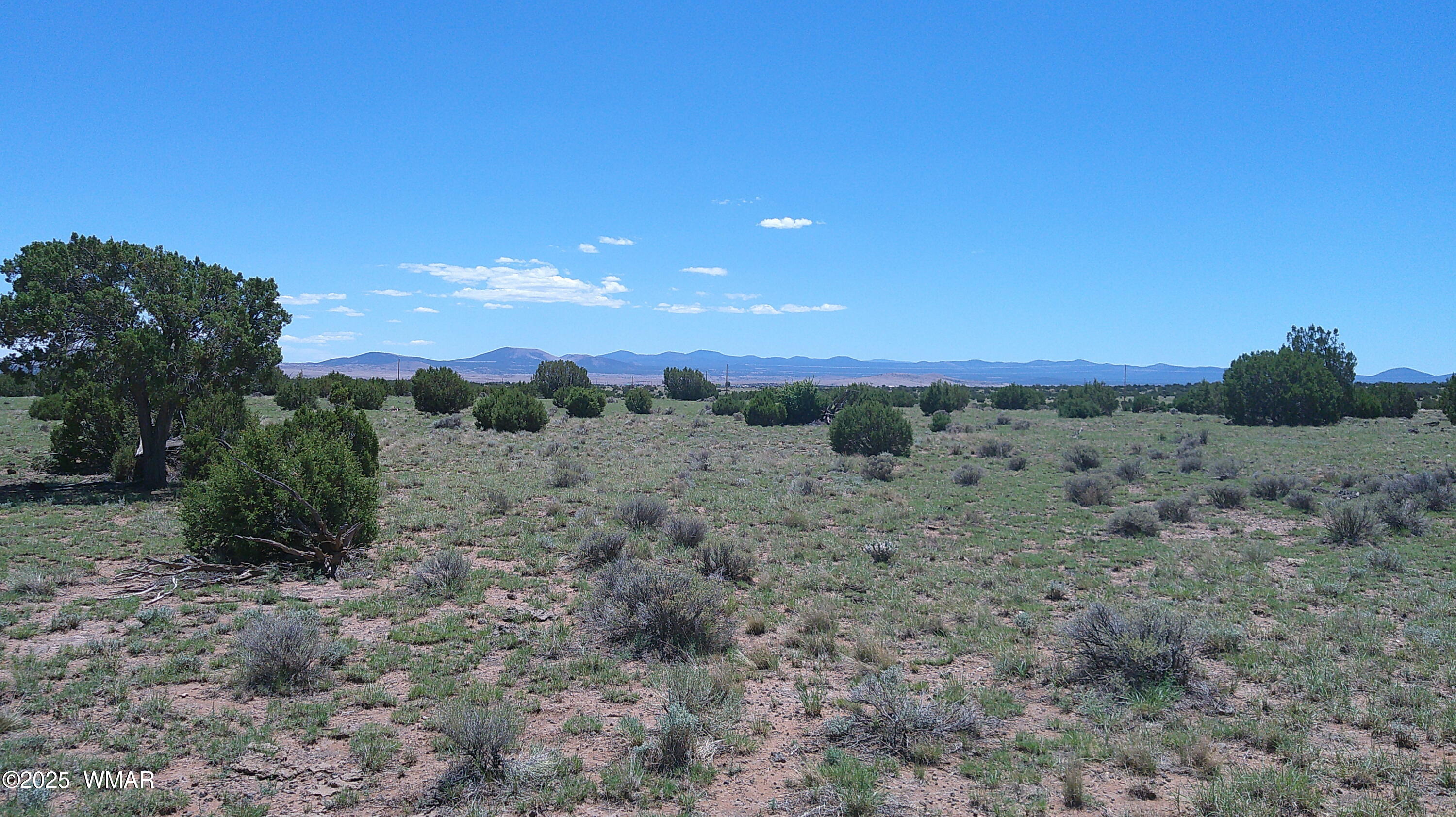 TBD Windsor Valley Ranch Lot 87, Concho Valley, AZ 85924
