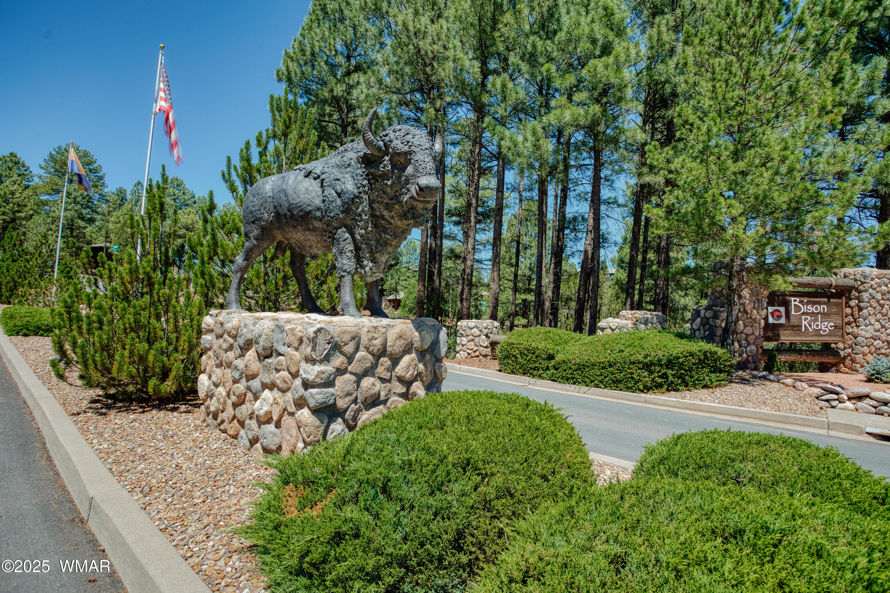 4696 West Tatanka Loop, Show Low, AZ 85901