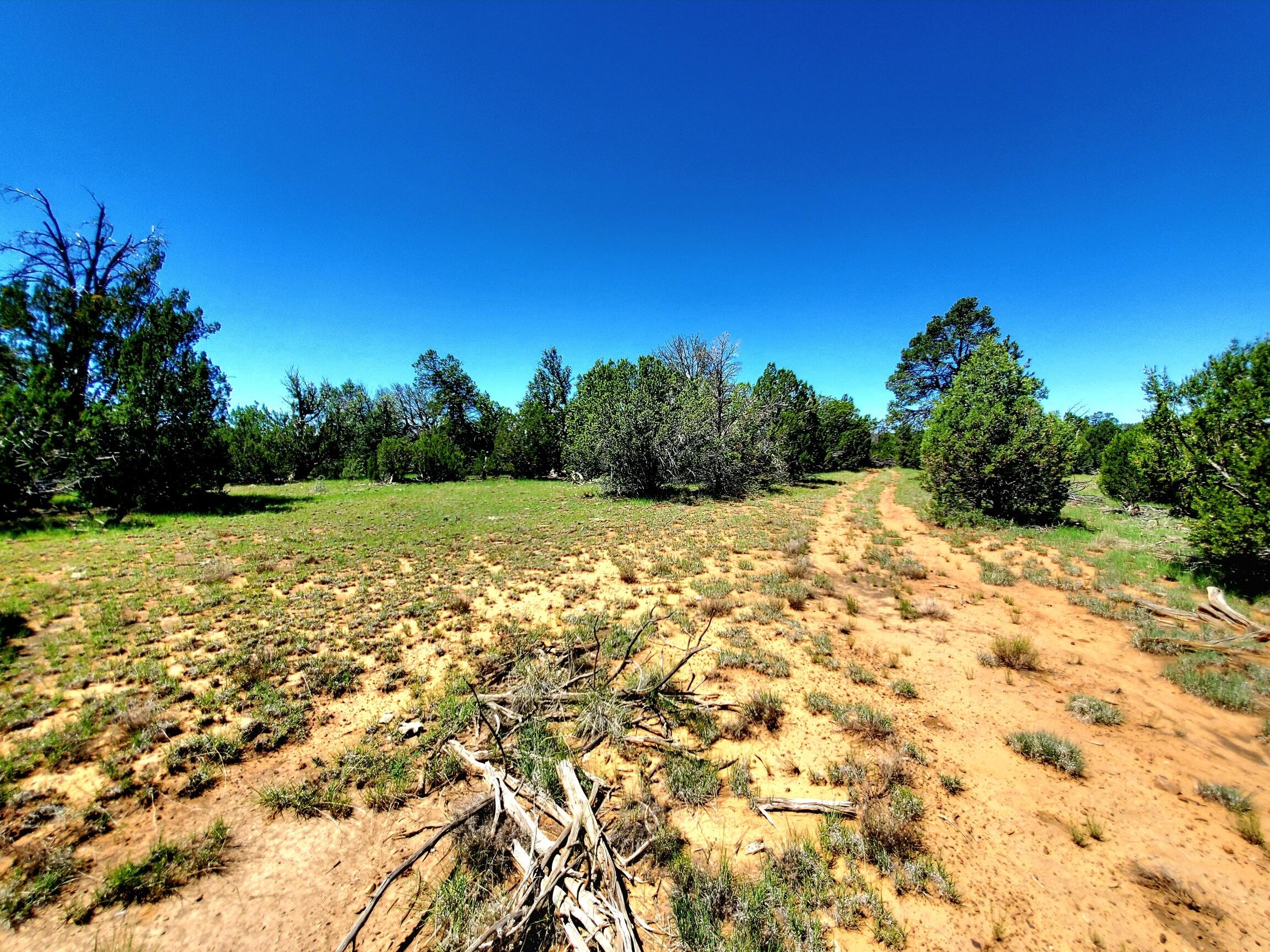 8571 Haven Crest Drive, Happy Jack, AZ 86024