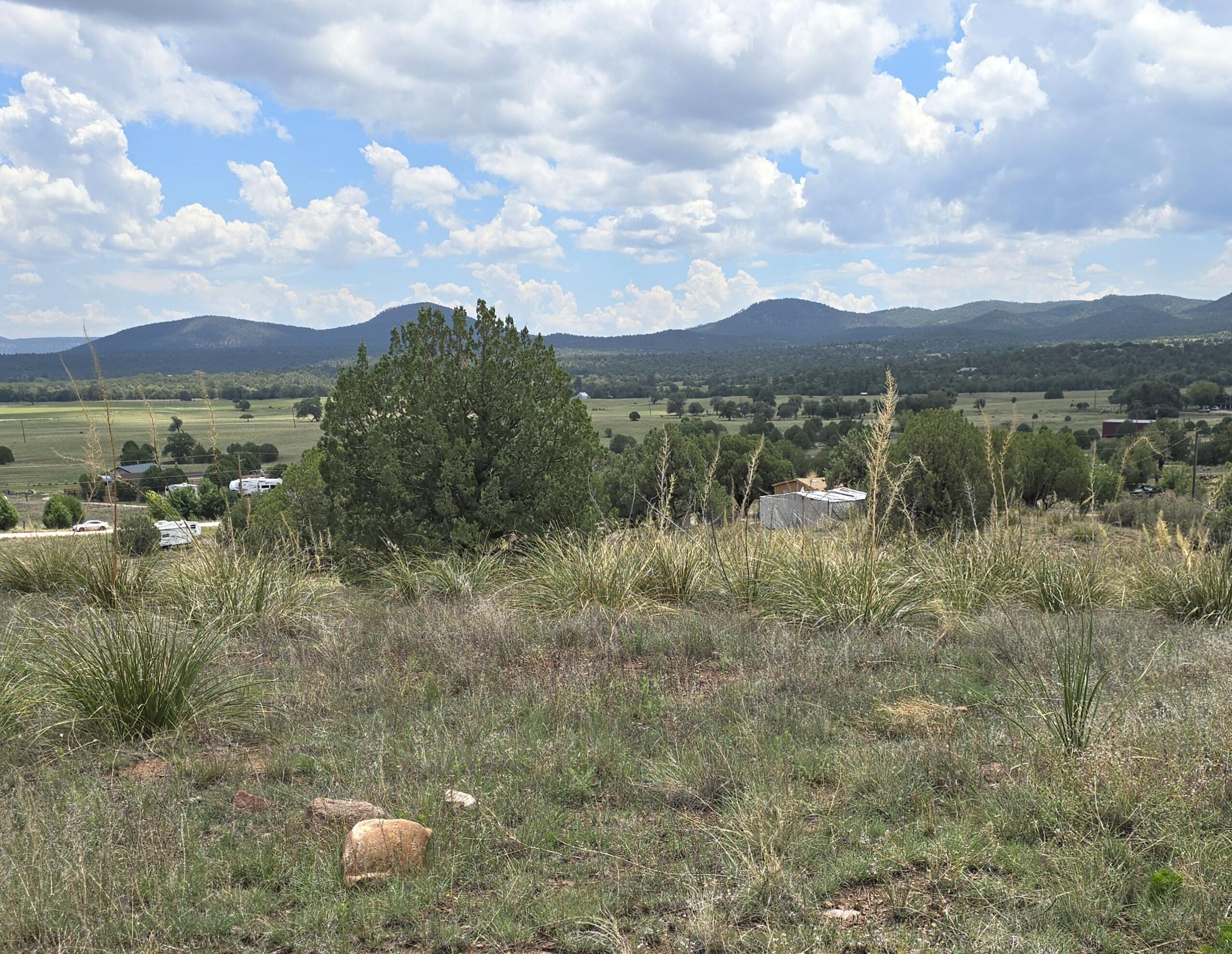 410 S Rolling Hills Road, Young, AZ 85554