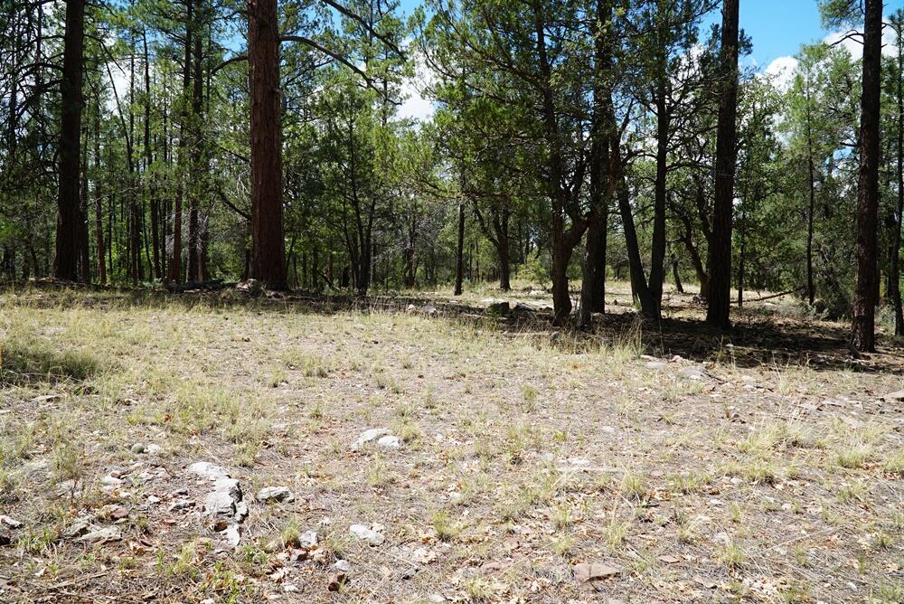 283 S Lookout Trail, Payson, AZ 85541