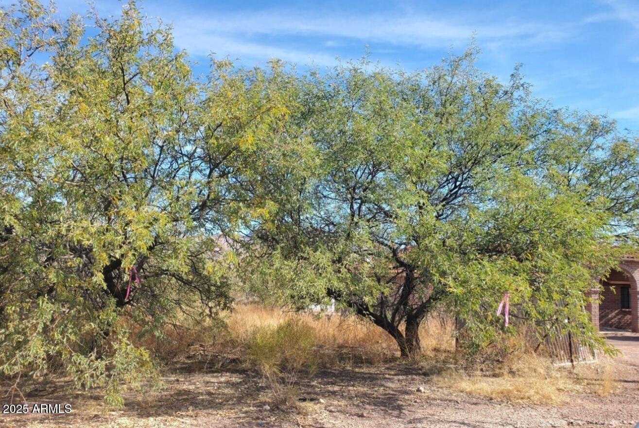 586 JUDIT Court 74, Rio Rico, AZ 85648
