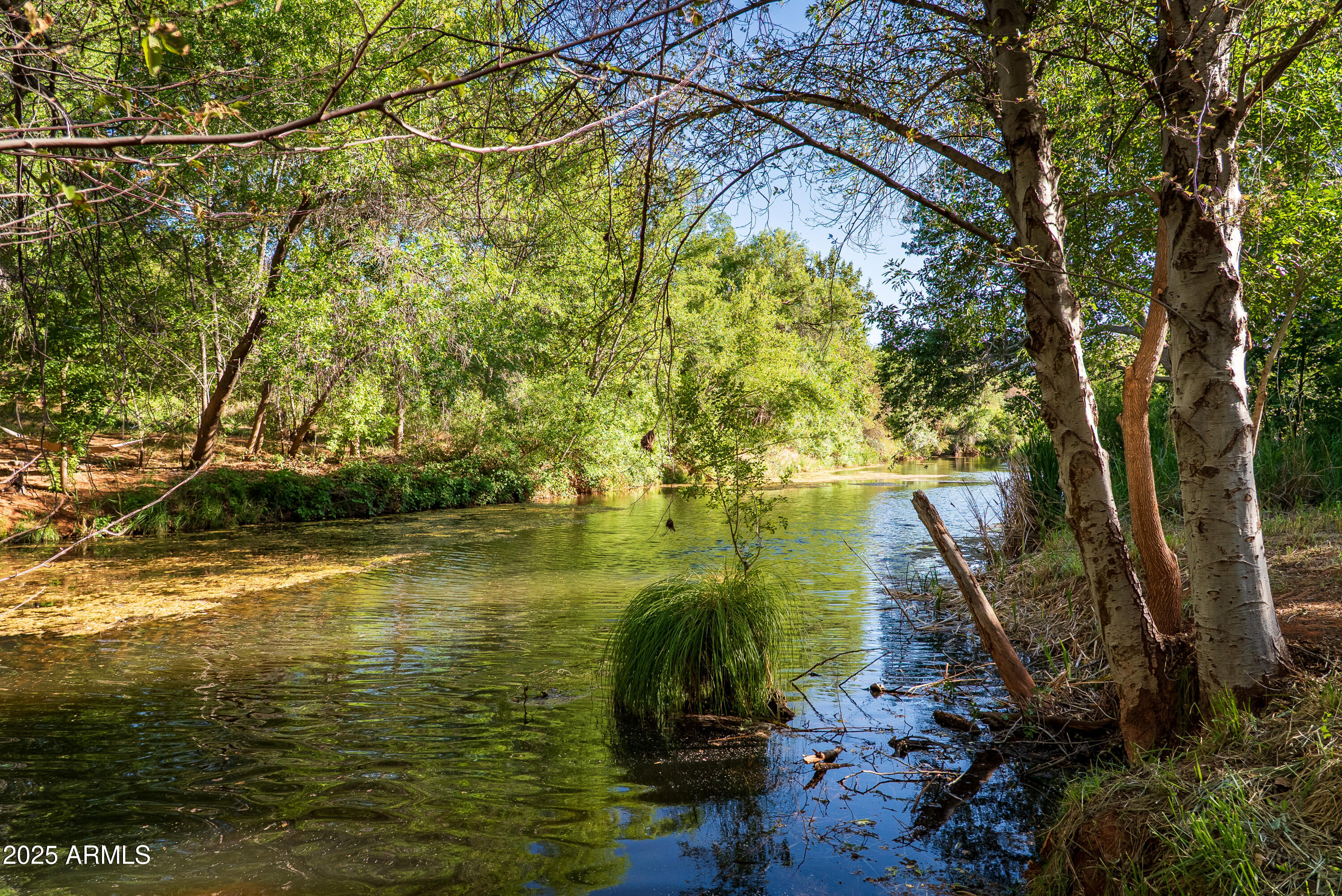 Thumbnail 89
