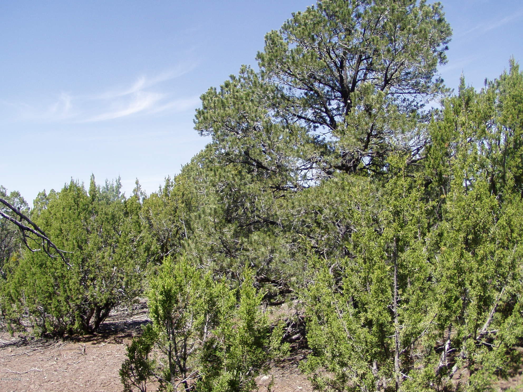 lot 11 Uphill Trail, Vernon, AZ 85940