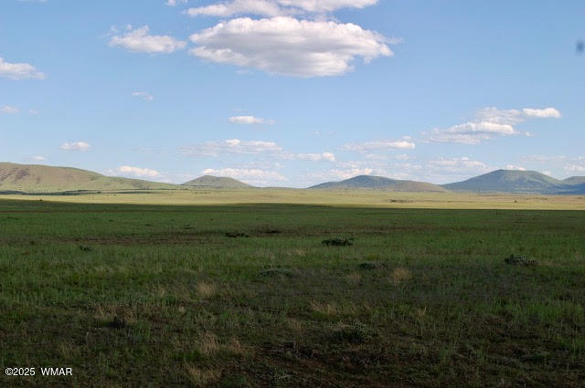 Lot 55 Concho Lakeland, Concho, AZ 85924