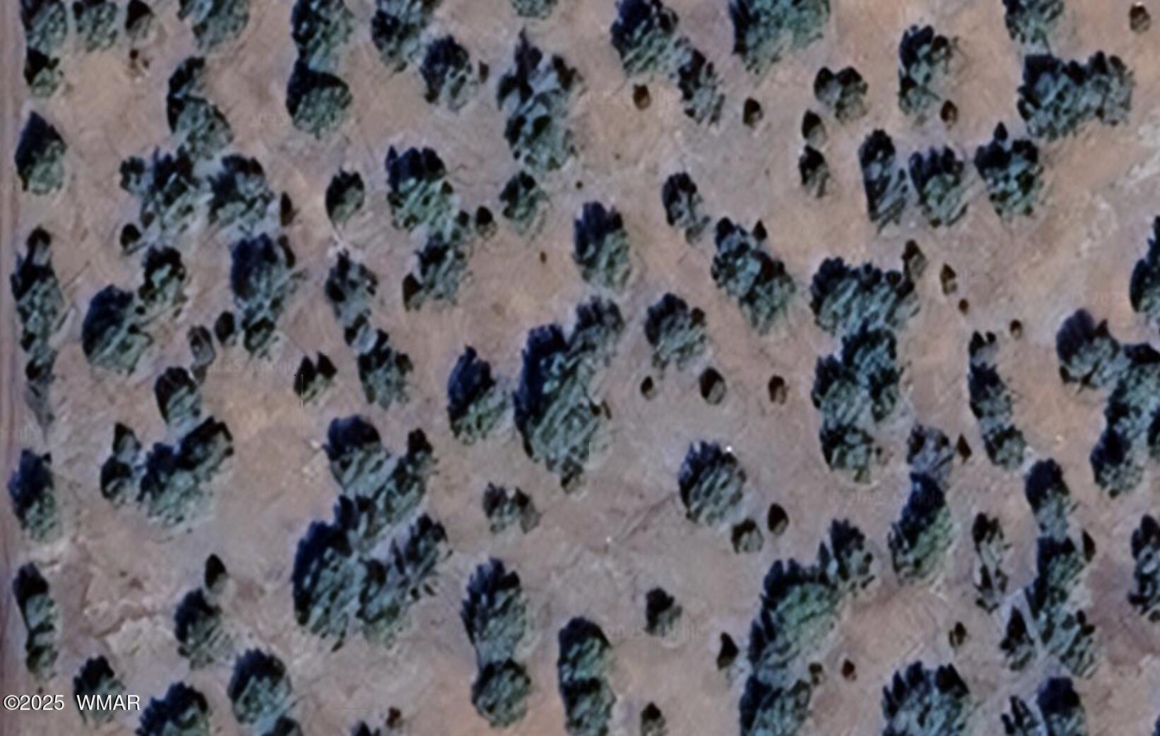 16 County Road 8136, Concho, AZ 85924