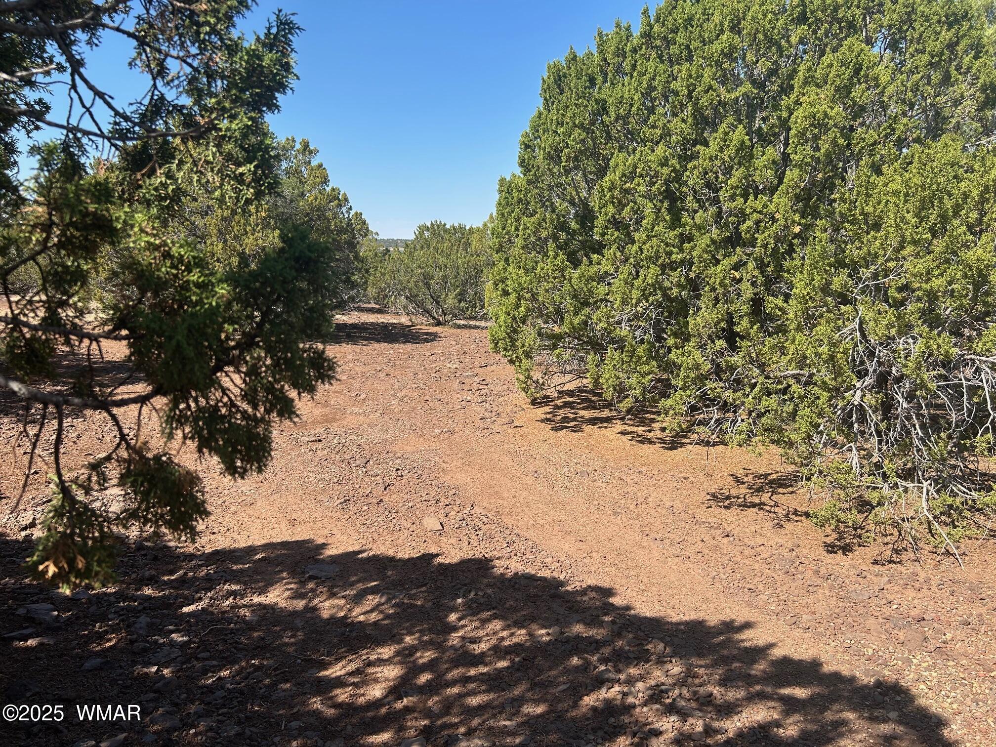 Lot 2 Stanford Drive, Vernon, AZ 85940