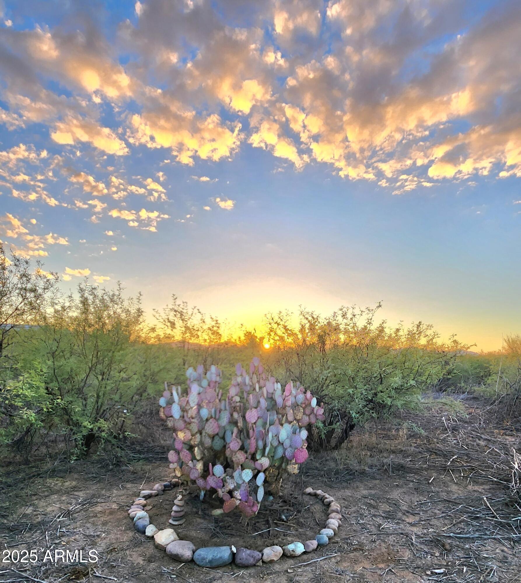 13122 W DUSTY FLAT Place -, Tucson, AZ 85735