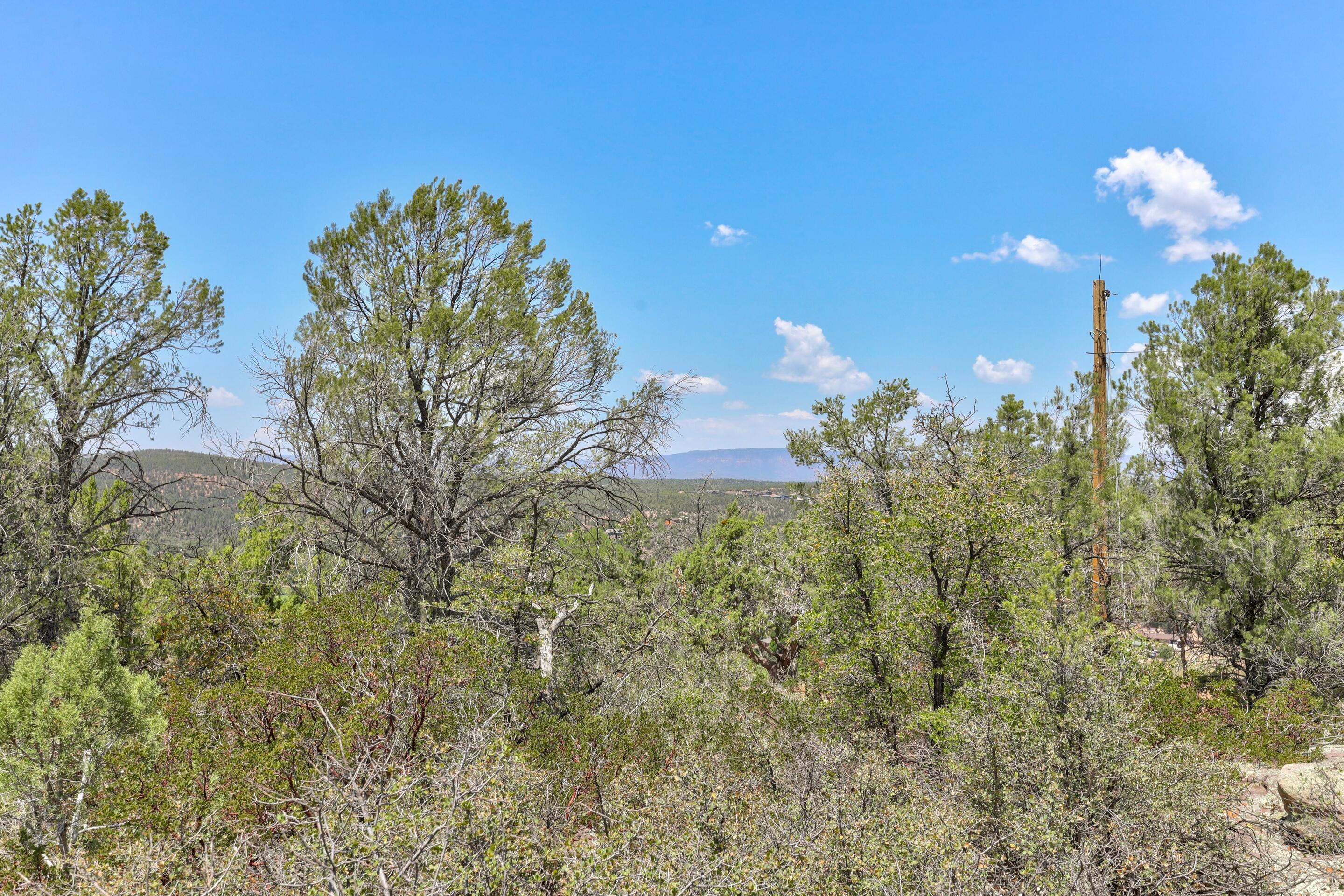 1106 S Gold Nugget Lane, Payson, AZ 85541