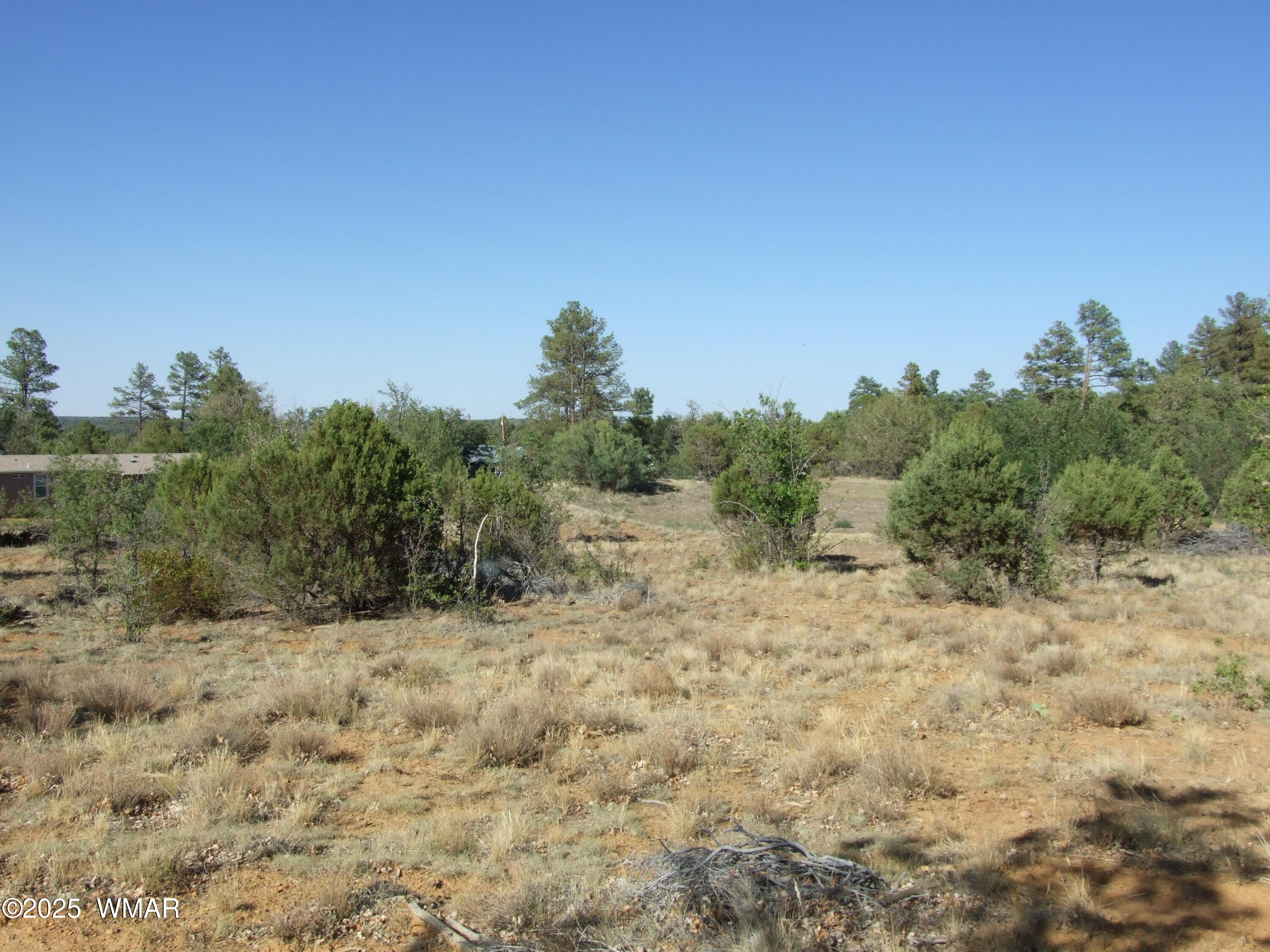 Parcel A Lamb Dr, Pinedale, AZ 85934