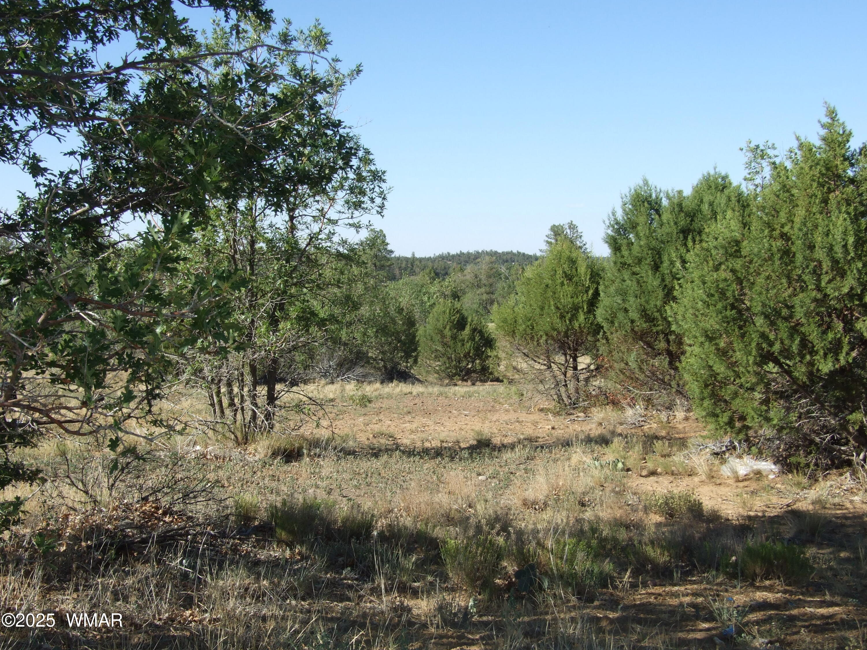 Parcel B Lamb Dr, Pinedale, AZ 85934