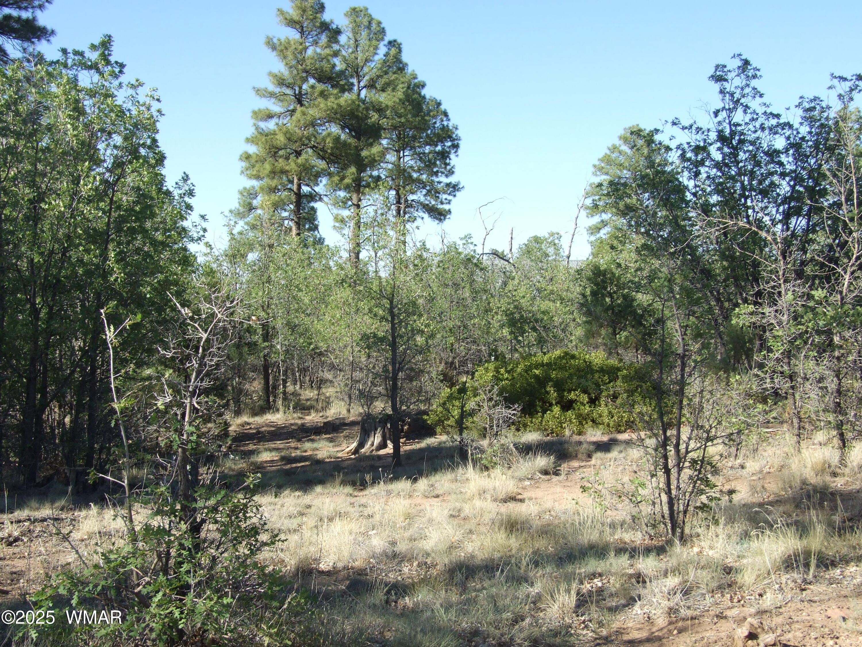 Parcel D Lamb Dr, Pinedale, AZ 85934