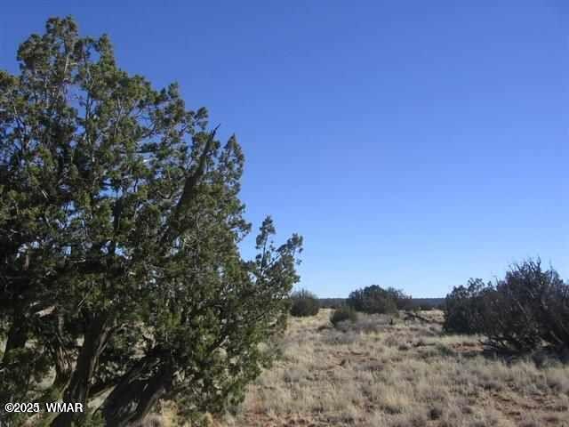 6322 Dry Pasture Run, Lot 298, Heber, AZ 85928
