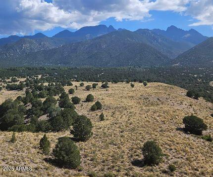 Lot 6 W Rancho Road 6, Kingman, AZ 86413