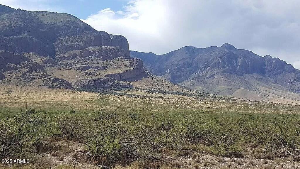 ---- 37 Acres Blacktail Road -, San Simon, AZ 85632
