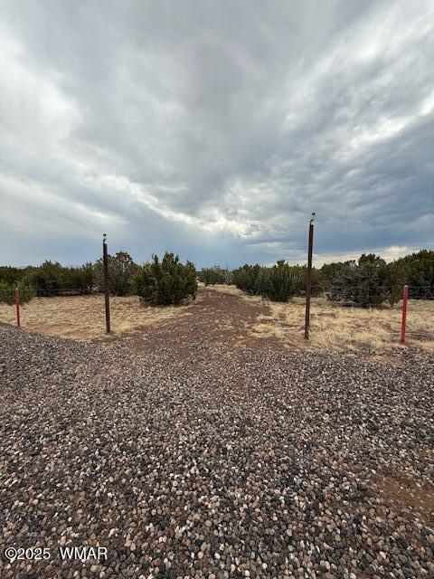 82 County Road 8010, Concho, AZ 85924