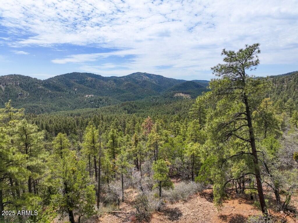 0 E Bald Mountain Road -, Prescott, AZ 86303