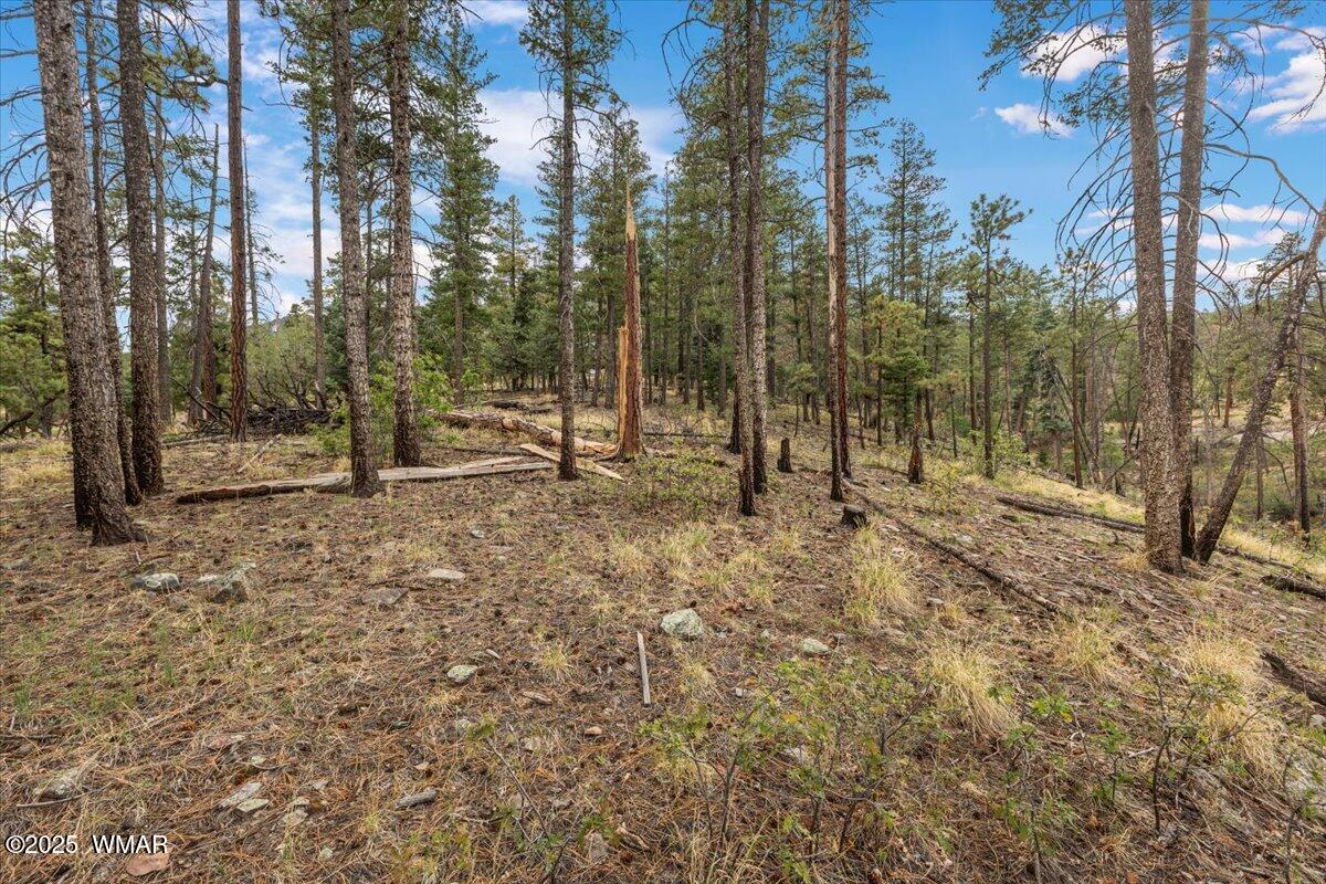 14 County Rd 2074, Alpine, AZ 85920