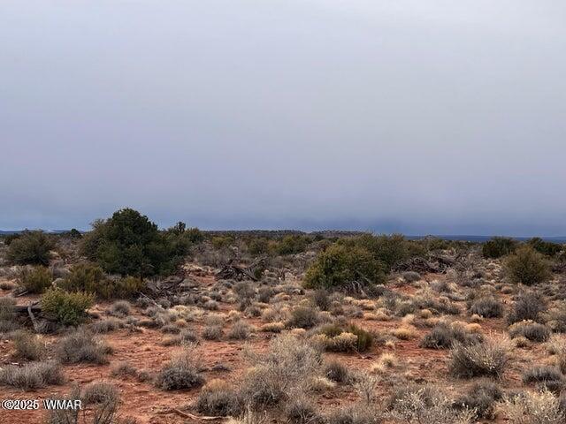 8698 Yaqui Lane, Snowflake, AZ 85937