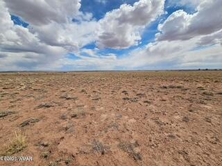 TBD Sheri 105-50-035 Road, Sun Valley, AZ 86029