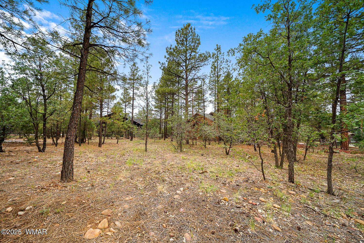 3331 W Tobasa Lane, Show Low, AZ 85901