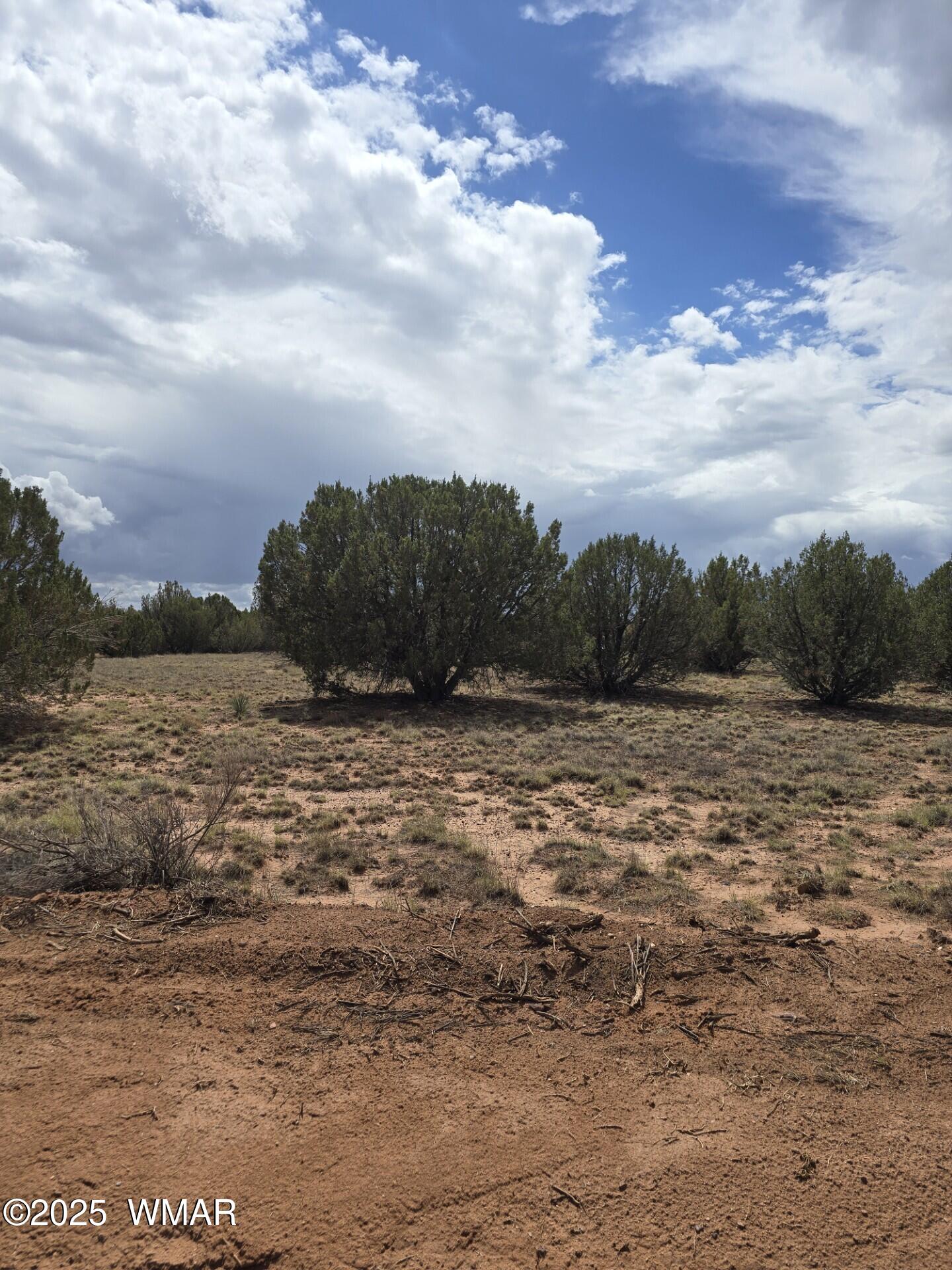 4979 W Tharp Road, Snowflake, AZ 85937