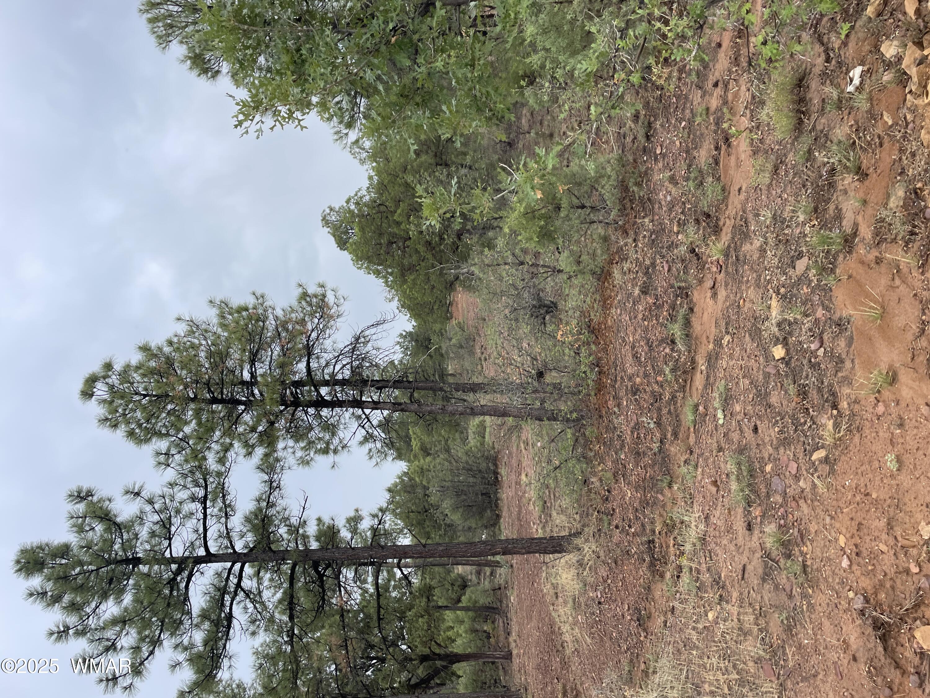 631 S Haven Drive, Show Low, AZ 85901