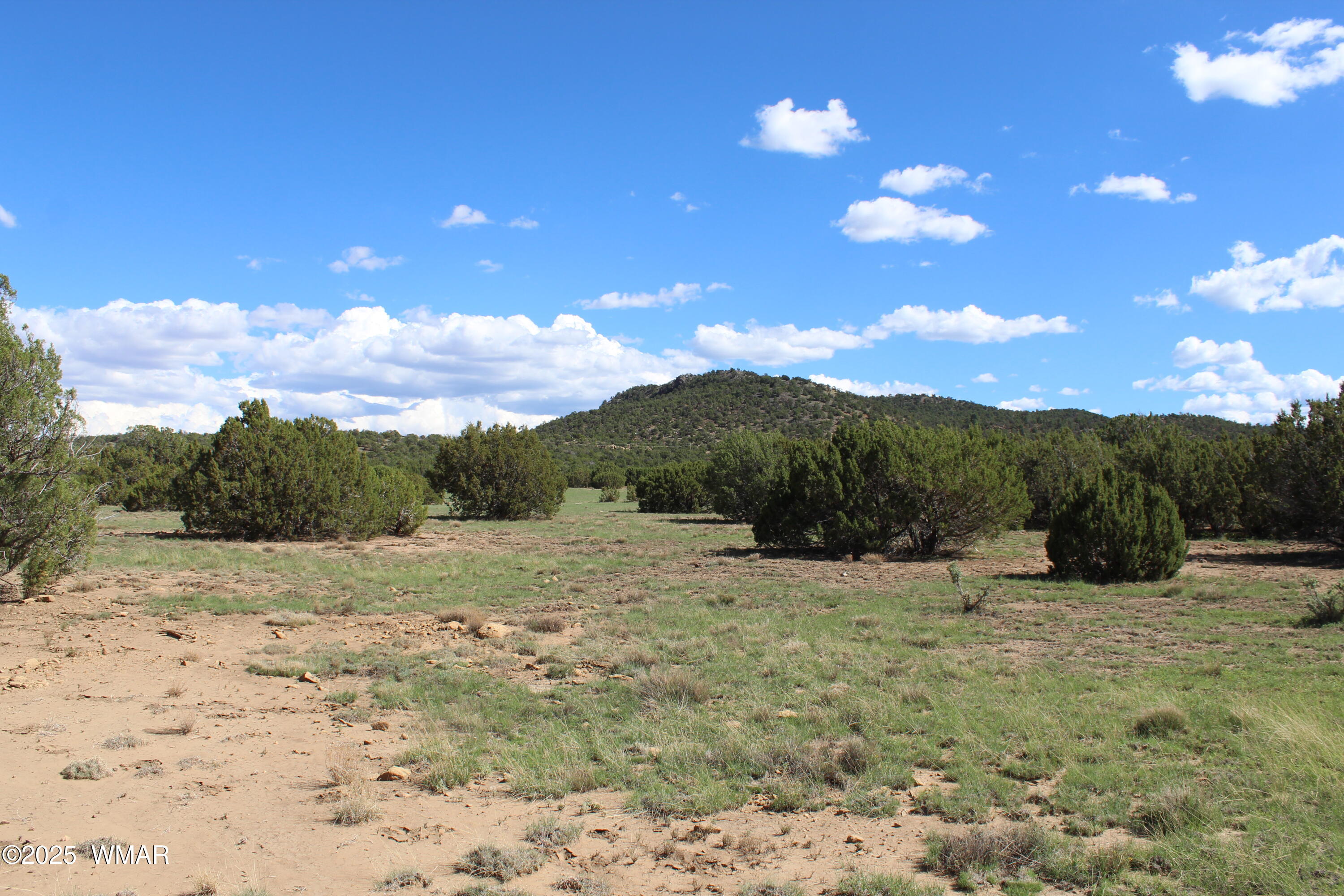 10 Co Rd 3044, Concho, AZ 85924